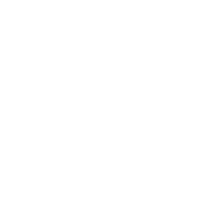 PYME Innovadora